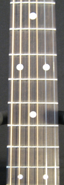 7 Fret Board (222x640).jpg