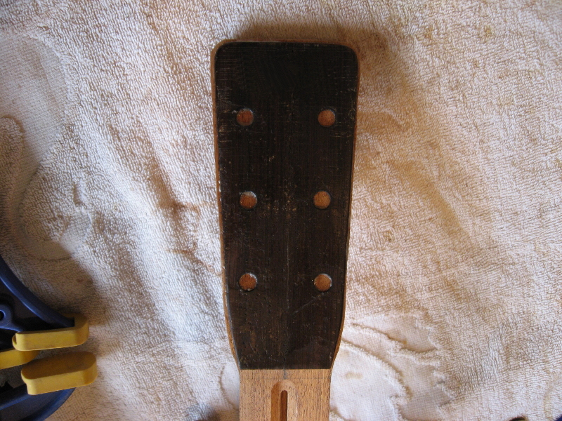 19 Headstock 2 (800x600).jpg