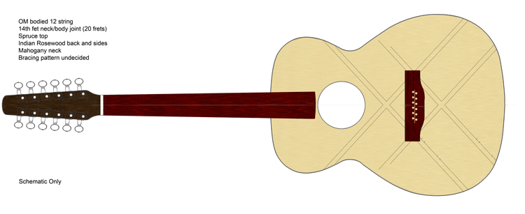 OM style 12 string.jpg