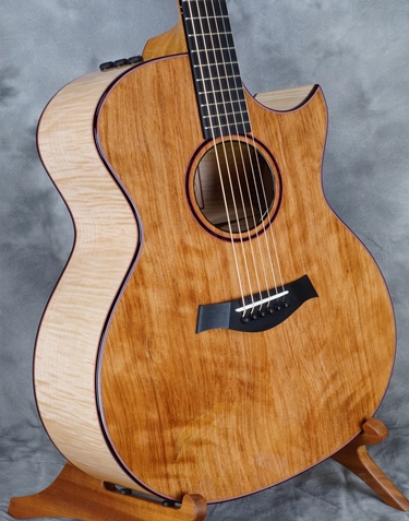 TaylorCustom5.jpg