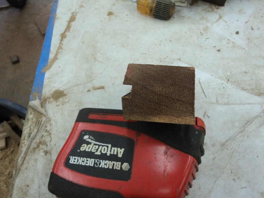 DSC08530 (Medium).JPG