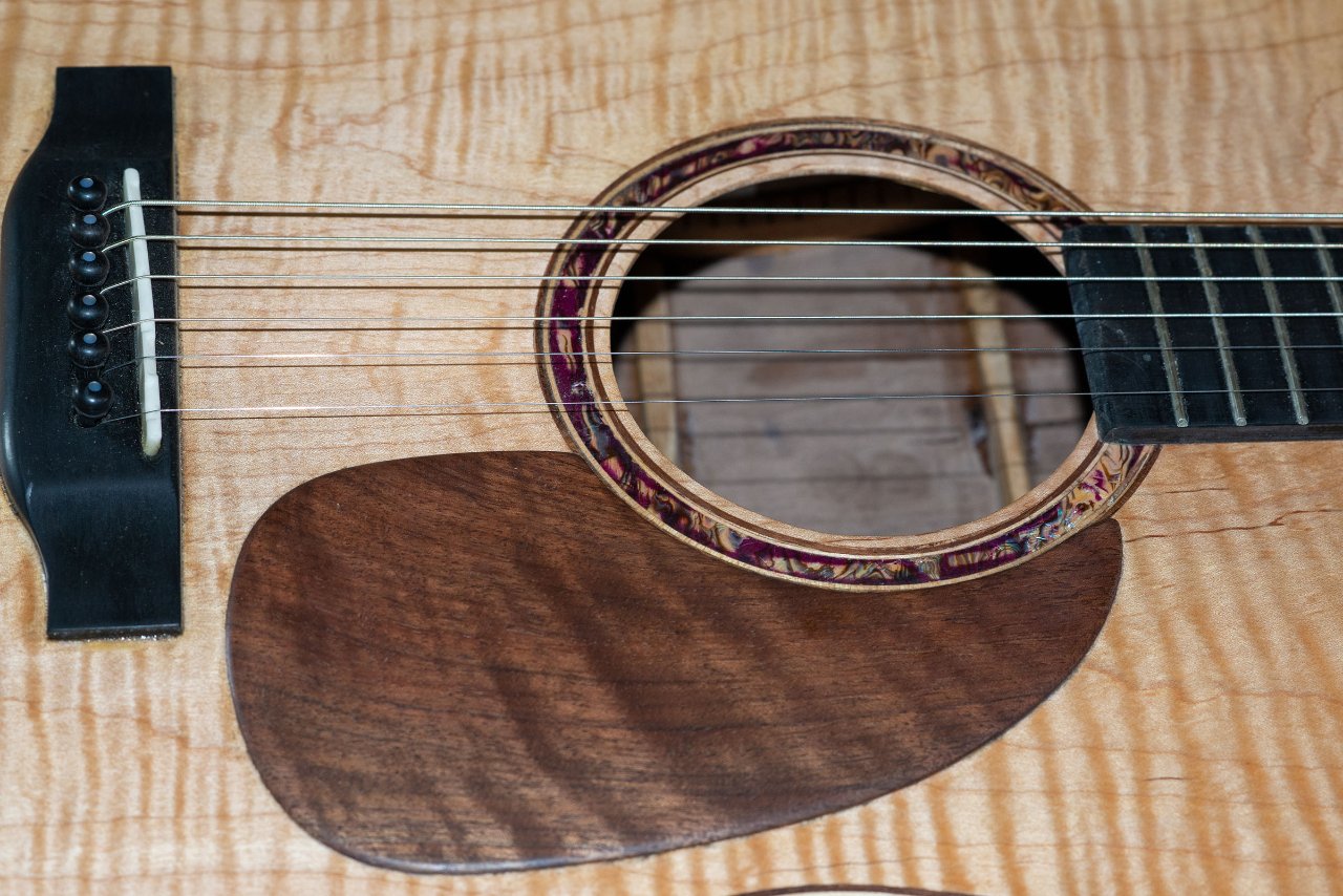 Guitar Sound hole Bridge Pick Guard.jpg