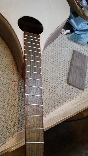 The backs and sides will look like the fretboard when finished. I think it will look nice.